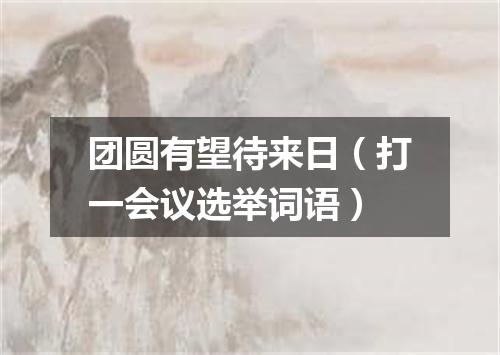 团圆有望待来日（打一会议选举词语）