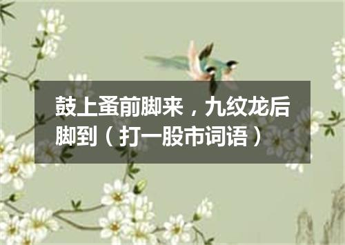 鼓上蚤前脚来，九纹龙后脚到（打一股市词语）