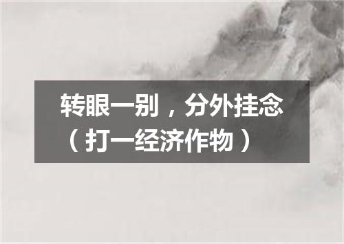 转眼一别，分外挂念（打一经济作物）
