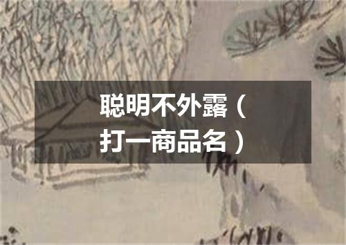 聪明不外露（打一商品名）
