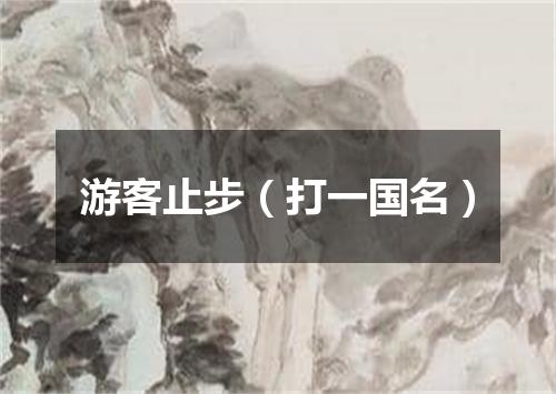 游客止步（打一国名）