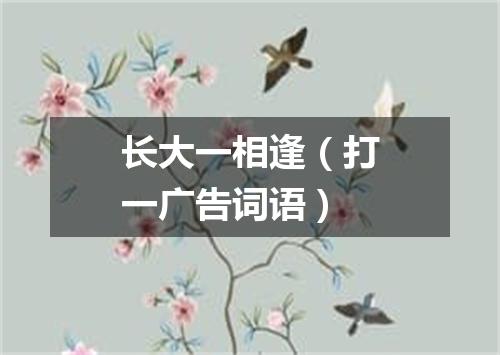 长大一相逢（打一广告词语）