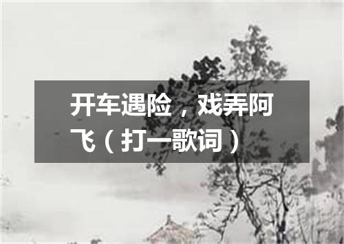 开车遇险，戏弄阿飞（打一歌词）