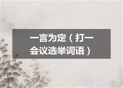 一言为定（打一会议选举词语）