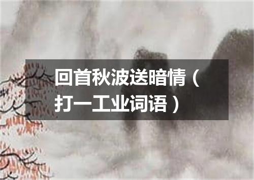 回首秋波送暗情（打一工业词语）