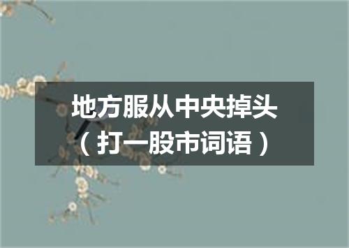 地方服从中央掉头（打一股市词语）