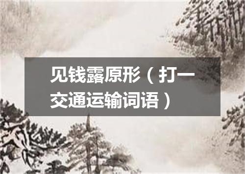 见钱露原形（打一交通运输词语）