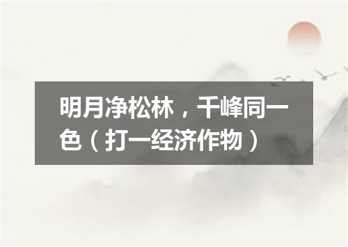 明月净松林，千峰同一色（打一经济作物）
