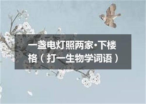 一盏电灯照两家·下楼格（打一生物学词语）
