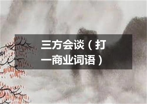 三方会谈（打一商业词语）