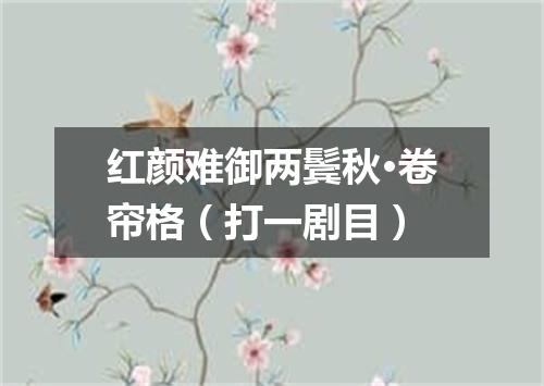 红颜难御两鬓秋·卷帘格（打一剧目）
