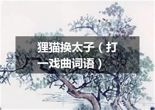 狸猫换太子（打一戏曲词语）