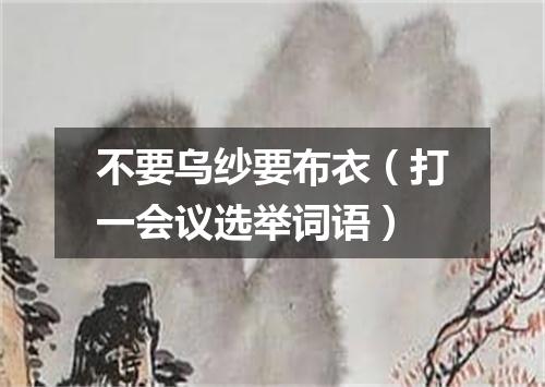 不要乌纱要布衣（打一会议选举词语）