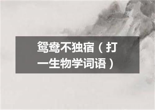 鸳鸯不独宿（打一生物学词语）