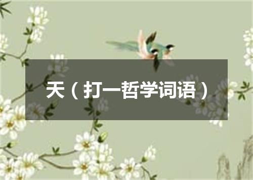 天（打一哲学词语）