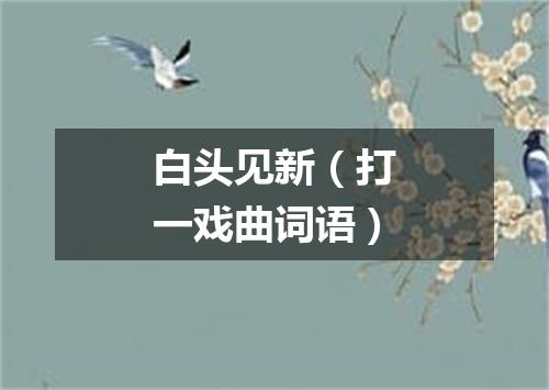 白头见新（打一戏曲词语）