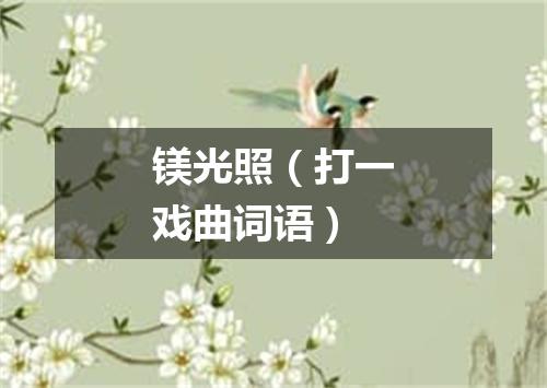 镁光照（打一戏曲词语）