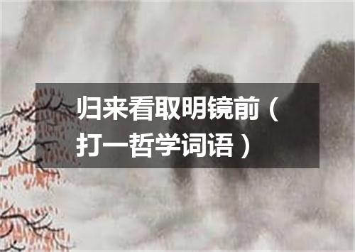 归来看取明镜前（打一哲学词语）