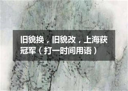 旧貌换，旧貌改，上海获冠军（打一时间用语）