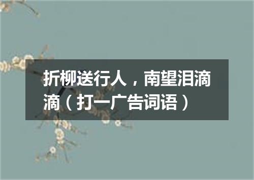 折柳送行人，南望泪滴滴（打一广告词语）