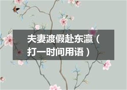 夫妻渡假赴东瀛（打一时间用语）