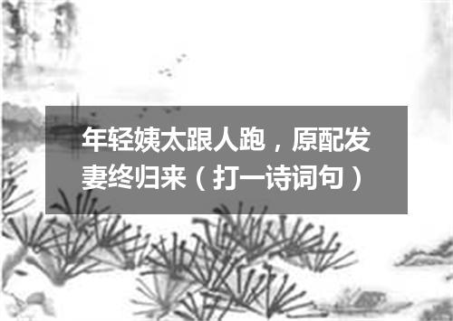 年轻姨太跟人跑，原配发妻终归来（打一诗词句）
