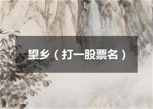 望乡（打一股票名）