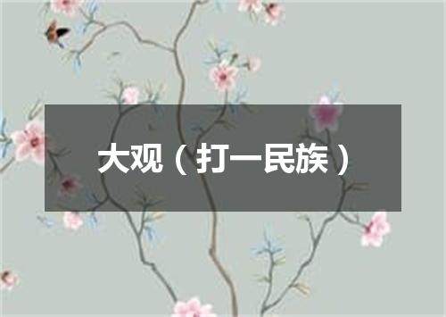 大观（打一民族）