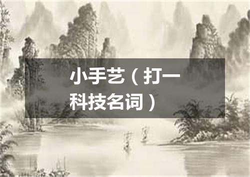 小手艺（打一科技名词）