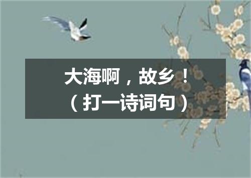 大海啊，故乡！（打一诗词句）