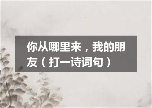 你从哪里来，我的朋友（打一诗词句）