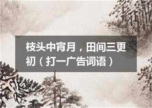 枝头中宵月，田间三更初（打一广告词语）