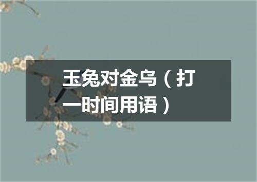 玉兔对金乌（打一时间用语）
