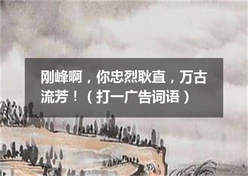 刚峰啊，你忠烈耿直，万古流芳！（打一广告词语）