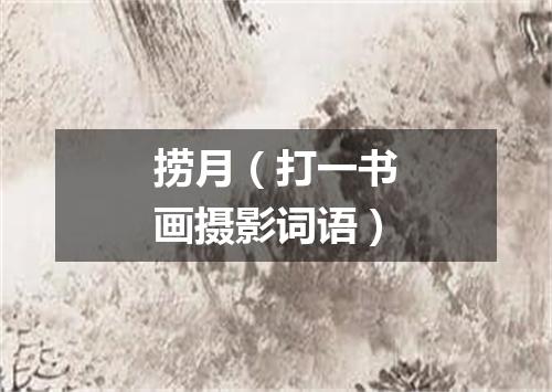 捞月（打一书画摄影词语）