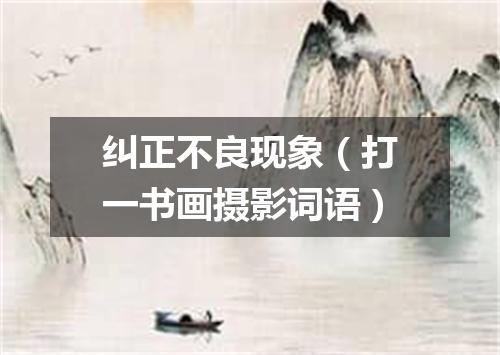 纠正不良现象（打一书画摄影词语）