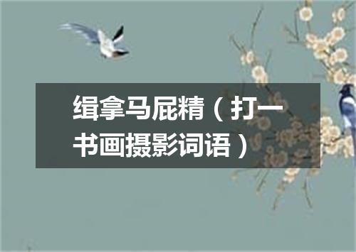 缉拿马屁精（打一书画摄影词语）
