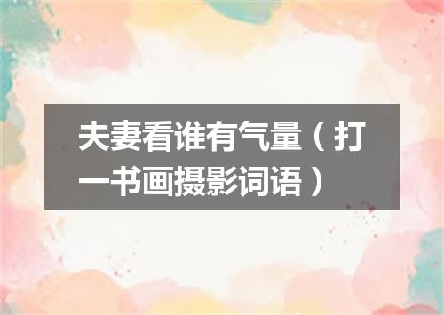 夫妻看谁有气量（打一书画摄影词语）