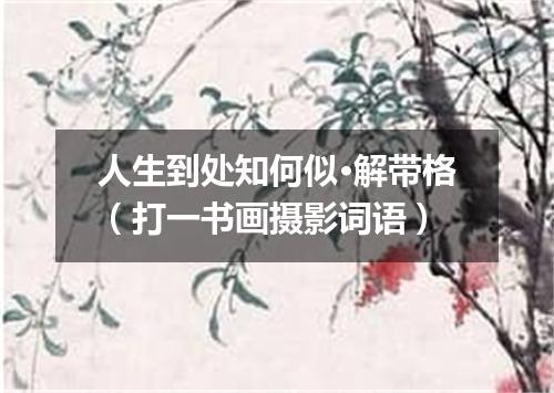 人生到处知何似·解带格（打一书画摄影词语）