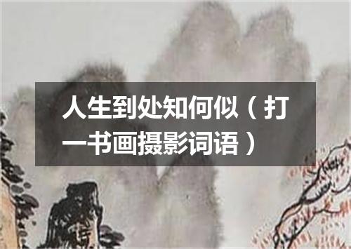 人生到处知何似（打一书画摄影词语）