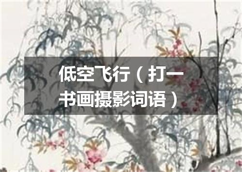 低空飞行（打一书画摄影词语）