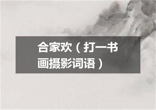 合家欢（打一书画摄影词语）