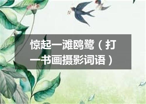 惊起一滩鸥鹭（打一书画摄影词语）
