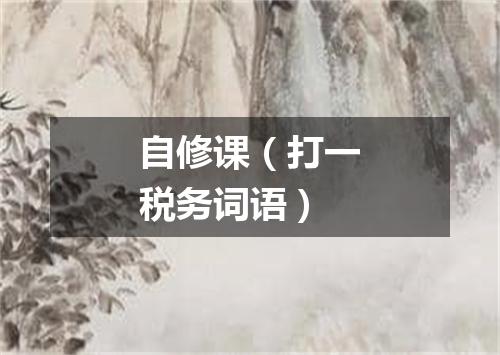 自修课（打一税务词语）