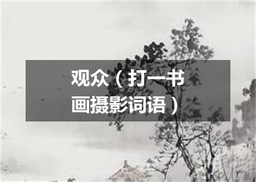 观众（打一书画摄影词语）