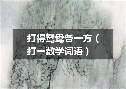 打得鸳鸯各一方（打一数学词语）