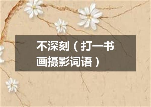 不深刻（打一书画摄影词语）