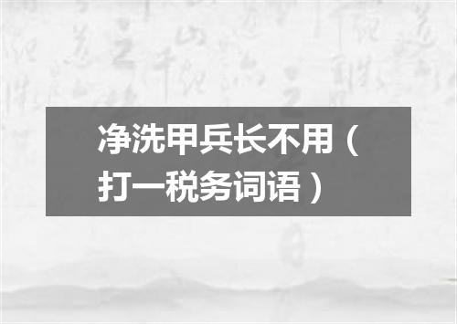 净洗甲兵长不用（打一税务词语）