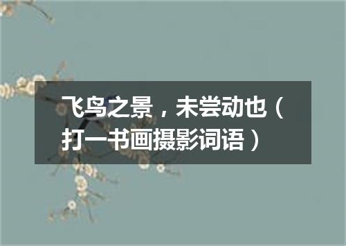 飞鸟之景，未尝动也（打一书画摄影词语）
