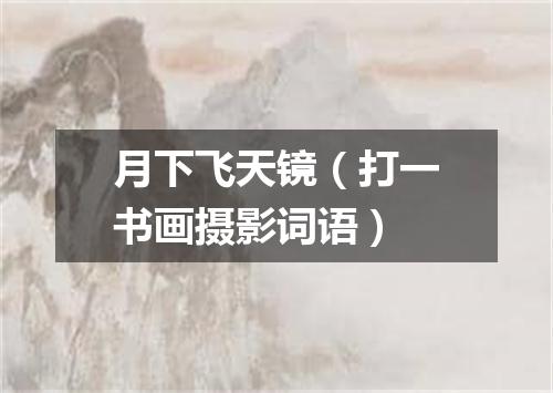 月下飞天镜（打一书画摄影词语）